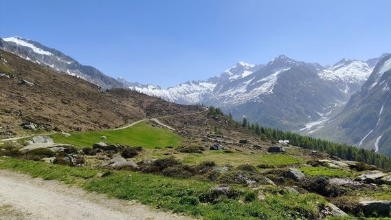 Photo de walrei le long du parcours