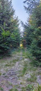 Fotografia z ReginaSt na trase