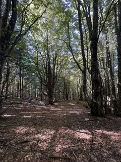Foto de Federico Mantuano Identità Creative a lo largo del recorrido