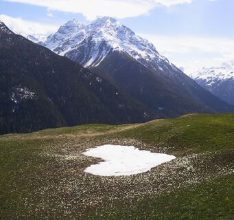 Am Fusse des Piz Buin, Val Tuoi - Furcletta