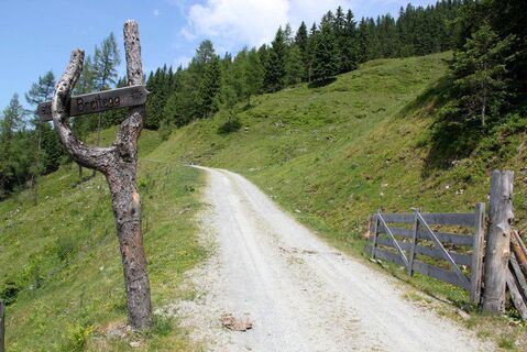 Breitegg-Weißbacher Anton Rechte TVB Wildschönau (1).jpg