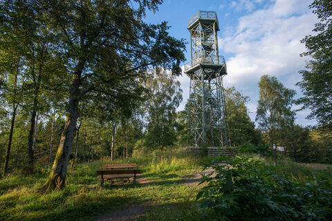 Blick auf den Wilzenbergturm