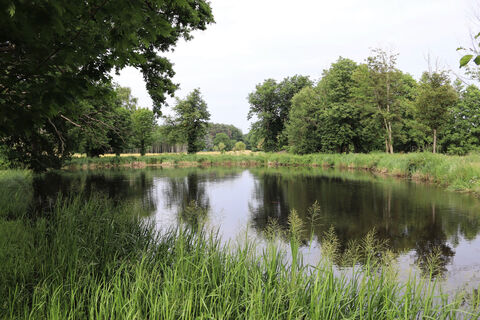 Rothenbach