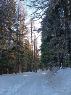 Photo de Aner le long du parcours