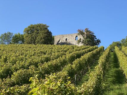 Burgruine Helfenberg | Ilsfeld | HeilbronnerLand