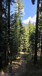 Fotografija s spletne strani Andrea Inserra na poti