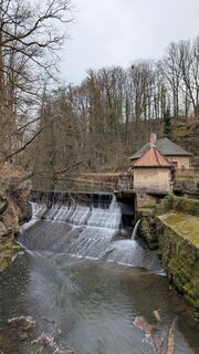 Foto von hochlandfamilie entlang der Tour