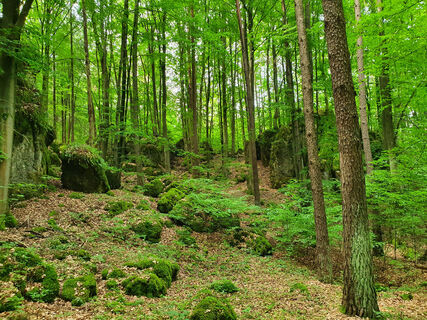 Felslandschaft bei Zant