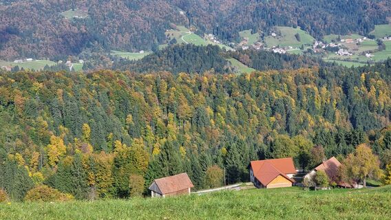 Foto von Dejan Borko entlang der Tour