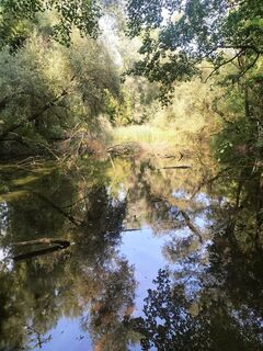 Foto van Erwin Maier langs de tour
