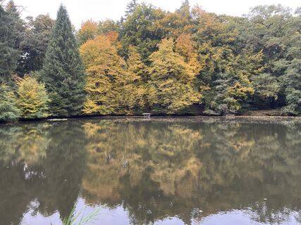 Photo de Roland Steinfadt le long du parcours