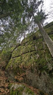 Fotografia z Klaus Lehner na trase