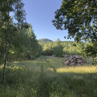 Foto von Steffen Kiesel entlang der Tour