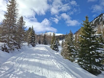 Foto von Jonas Seebacher entlang der Tour