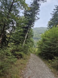 Foto de Petra Gerold a lo largo del recorrido