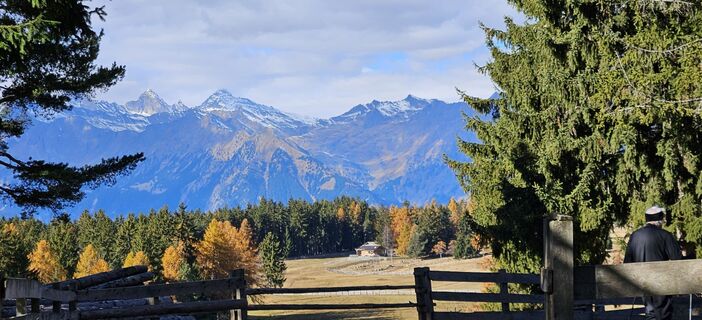 Fotografija s spletne strani Roswitha Polz na poti