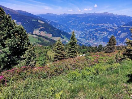 Foto von Barbara Hartmann entlang der Tour