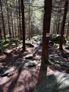 Fotografija s spletne strani Sebastian xxxx na poti