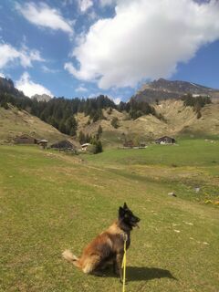 Photo de Delpyalain73 le long du parcours
