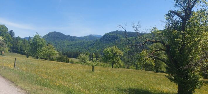 Fotografija s spletne strani Klaus Gruber 3 na poti