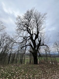 Foto von Max Weith entlang der Tour