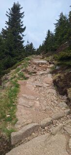 Fotografia z Hallunke Frank na trase