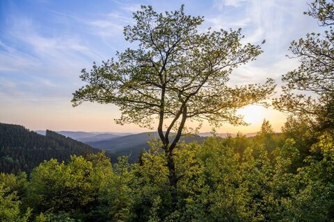 Sauerland