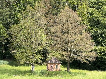 Foto de Norbert Herbig a lo largo del recorrido