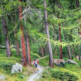 Via Grischuna