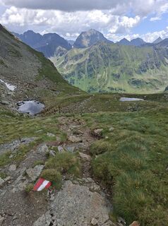 Photo de Halphas666 le long du parcours