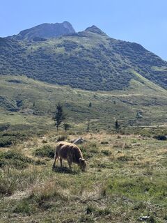 Photo de pigmyski le long du parcours