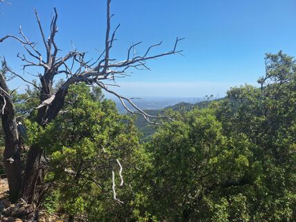 Foto de Magma a lo largo del recorrido