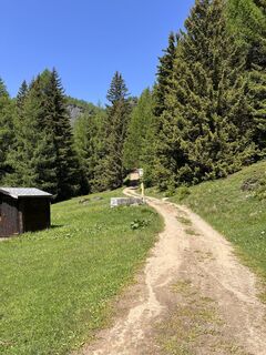 Foto von Andrea Tarovo entlang der Tour