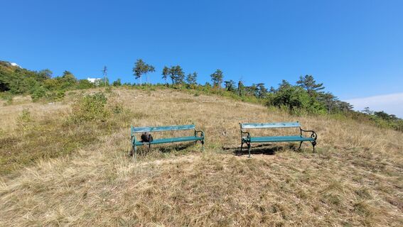 Foto von ElfriedeL entlang der Tour