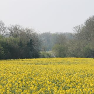 Die Höhen von Pont Remy