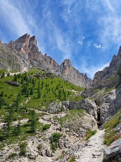 Fotografia z Oli Koch na trase
