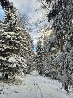 Fotografija s spletne strani Markus Christen na poti