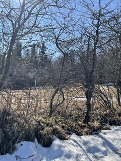 Foto von Ines Hering entlang der Tour