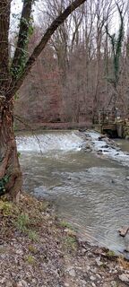 Fischtreppe in der Murr