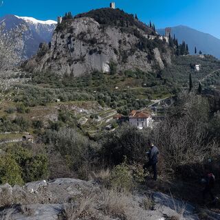 Coste di Baone - Arco