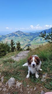Foto von Max Gisler entlang der Tour