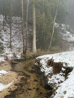 Fotografia z Florian Leopold Stonig na trase