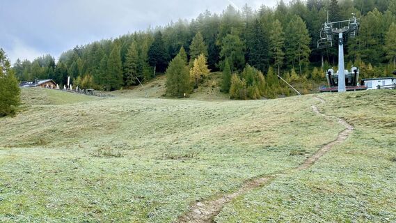 Wiesensteig Zams