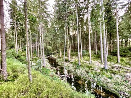 Foto von Les aventures de Ghislain entlang der Tour