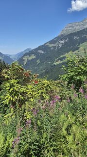 Foto von Andreas Wagner 12 entlang der Tour