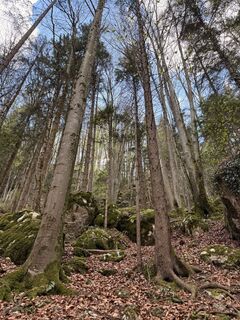 Foto de Maria Lattacher a lo largo del recorrido