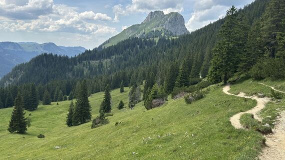 Fotografija s spletne strani Horst Büchele na poti