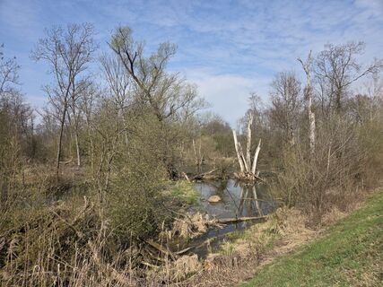Foto von Birgit Zückert entlang der Tour