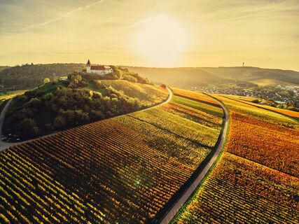 DSGVO Cleebronn Michaelsberg Weinlandschaft Hebst Chris Frumolt2022 7 web
