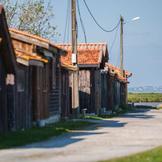 Valeyrac  - Port de Goulée 10 - © Nohcab - web